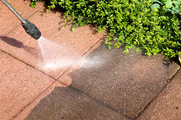 Best Best Pressure Washing Companies  in Bishopville, SC